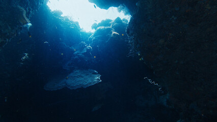 Fototapeta premium Sunbeams are illuminating the entrance of an underwater cave. Raja Ampat, Indonesia