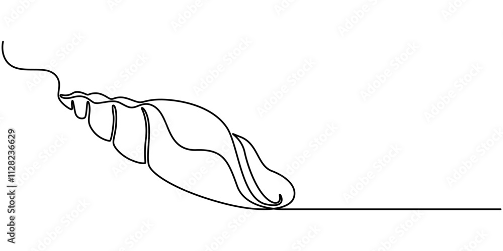 Poster snail conch continuous line vector illustration, Continuous one line drawing of conch snail shell. Seashell symbol and banner of beauty spa and wellness salon in simple linear style. Editable stroke. 