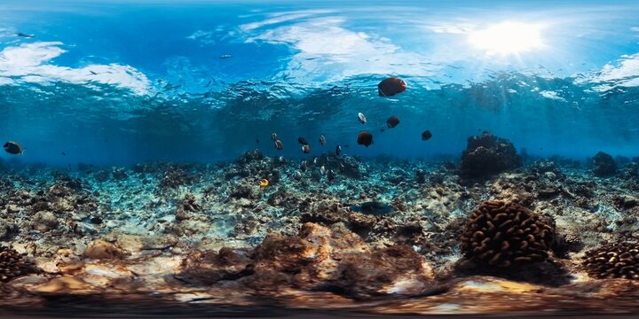 360 VR panorama of the coral reef in the Maldives with some fish swimming around