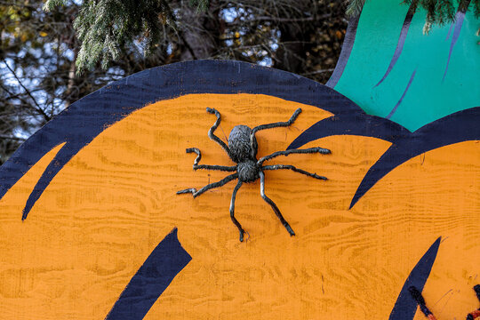 Large plush spider on a top of a pumpkin. Halloween decoration