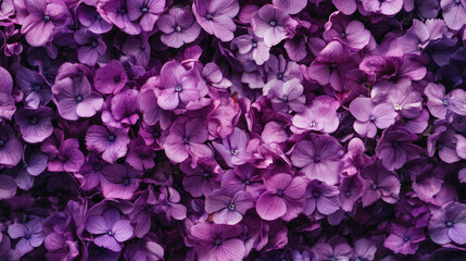 "A romantic backdrop adorned with a soft array of violet flowers, creating a serene and dreamy ambiance with delicate shades of purple and lavender."

