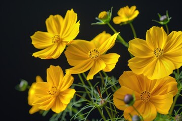 Fototapeta premium cute flower