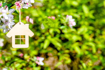Symbol of the house on the branches of a flowering apple
