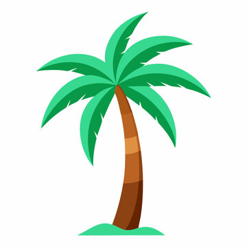 palm tree vector illustration