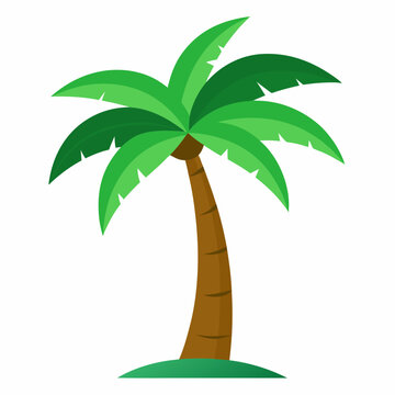 palm tree vector