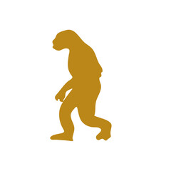 Human evolution illustration