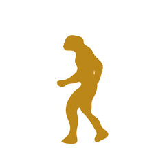 Human evolution illustration