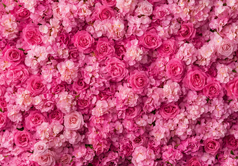  Pink and White Rose Floral Pattern Wallpaper