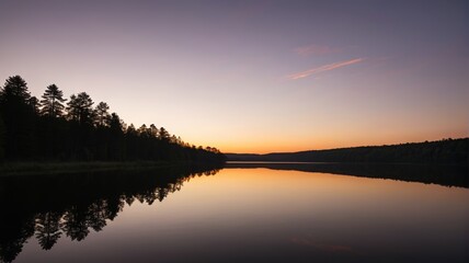 Fototapeta premium a lake with a few trees