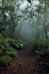 Man hiking through the laurel forest in the Anaga Rural Park in Tenerife, Canary Islands.