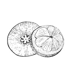 Obraz premium Open mangosteen with slices inside ink graphic vector composition isolated on white background. High quality hand drawn art for food design, packages, restaurant menu, fruit ads, label, logo and decor