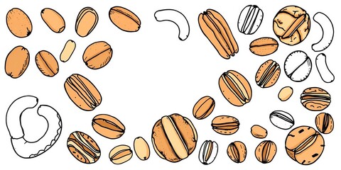 Hand drawn set of 12 edible nuts on white background, peanuts, hazelnuts