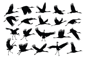 A set of silhouettes of the flying cranes.
