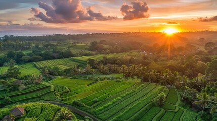 Naklejka premium Aerial view of a lush green farm with rows of crops and a vibrant sunrise