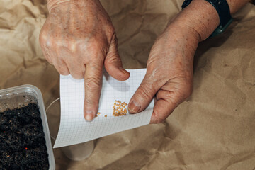 Kraft paper background, fertile soil and garden tools, top view. Hands planting seeds