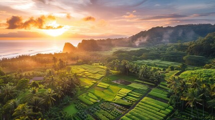 Fototapeta premium Aerial view of a lush green farm with rows of crops and a vibrant sunrise