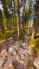 Österreich Wanderung am Krimml am Zillertal/Salzburger Land