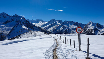 Österreich Wanderung am Plattenkogel am Zillertal/Salzburger Land