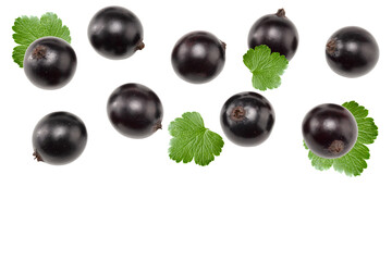 black currant with green leaf isolated on white background. clipping path