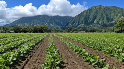 Scenic Landscape of Green Crop Field with Majestic Mountains