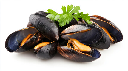 fresh steamed Zeeuwse Mosselen or Dutch Zeeland mussels