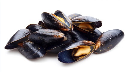 fresh steamed Zeeuwse Mosselen or Dutch Zeeland mussels