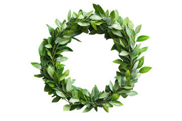 Fototapeta premium Watercolor green eucalyptus leaf wreath clipart, botanical foliage circle frame, hand painted plant border for wedding invites isolated on Transparent Background