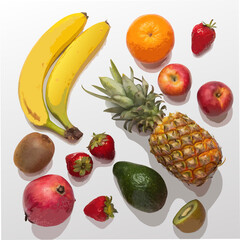 set of fruits vector on white background