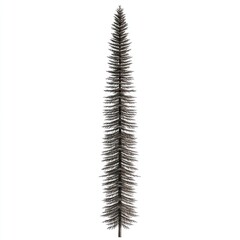 Tall Dark Evergreen Tree Isolated On White Background
