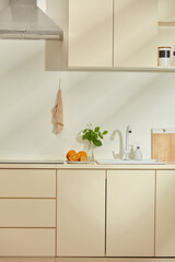 Kitchen background photo in vertical frame, decorated with beige and white color kitchen furniture...