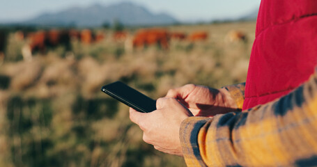 Man, hands and farmer with phone on field, agriculture and chat to client for organic dairy deal....
