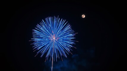 Fototapeta premium Blue Flower Fireworks Explosion - Stunning Aerial Display