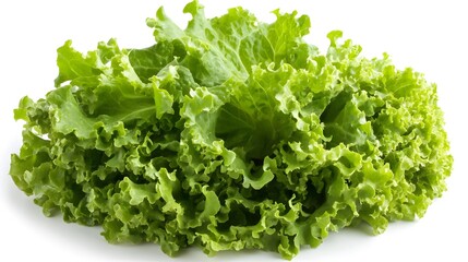 Chopped Lettuce isolated in white background
