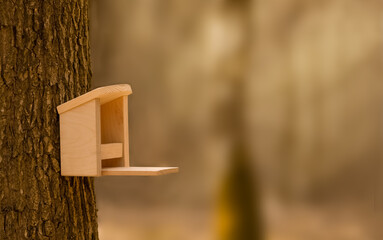 bird and squirrel feeder, tree house hanging on a brown tree in the park