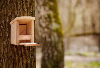 Handmade wooden bird feeder ready for winter time animal care object blurred defocused natural background