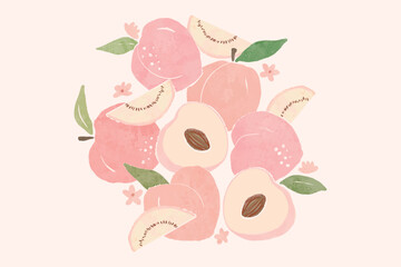 Peach Illustration pattern design. Peach or apricot pattern. Hand drawn fruit and sliced pieces. Summer tropical endless background. Vector fruit design for label, fabric, packaging