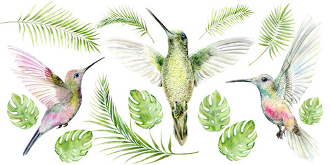 This watercolor illustration of a hummingbird captures the beauty and grace of these amazing birds. Bright colors and detailed feathers create a sense of lightness and freedom. Ideal for interior © Hanna Tsishk