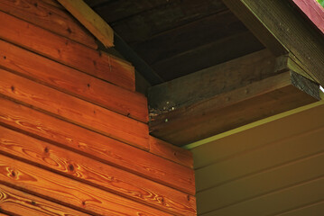 bird's nest, under the roof of a wooden house