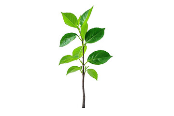 Obraz premium Vibrant Plant Sprout Amidst Abstract Colorful Stripes