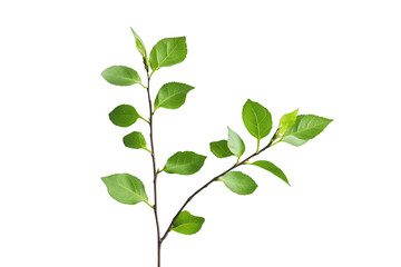 Abstract Glitch Art Vibrant Branch, Digital Leaves, Nature Meets Technology