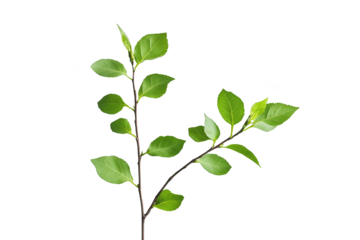 Abstract Glitch Art Vibrant Branch, Digital Leaves, Nature Meets Technology