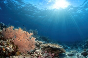 Naklejka premium Vibrant underwater scene with coral and sunlight.