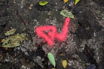 Flèche d'indication de direction peinte sur un rocher en fluo en forêt