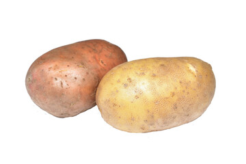 Potato tubers ready for cooking lie on a white background.