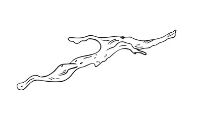 Driftwood black white vector illustration isolated on white. Gnarly branch, bark tree hand drawn graphic monochrome. Uneven tree branch, natural wood element for design. Dried tree branch sketch.