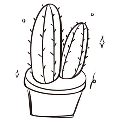 cactus in a pot