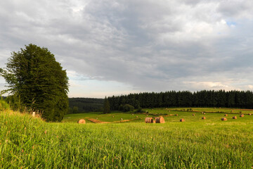 campagne nature balle foin