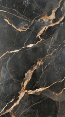 Stunning Black Gold Marble Texture for Interior Design
