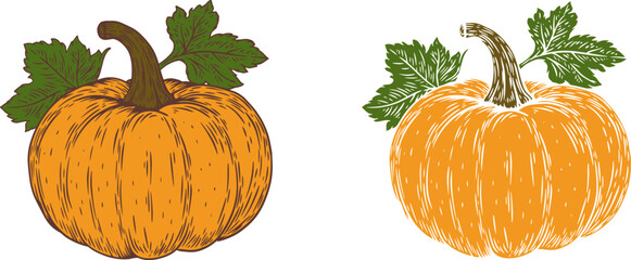 Pumpkin with leaf in hand draw style isolated on clean background. Color cartoon vector illustration.