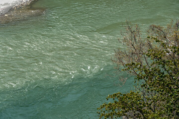 Rushing emerald green river water with ripples and waves flows alongside the shore, accompanied by overhanging branches of a lush green tree, vibrant and natural riverside scene in Devprayag, India.